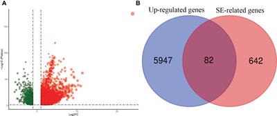 A novel signature constructed by super-enhancer-related genes for the prediction of prognosis in hepatocellular carcinoma and associated with immune infiltration